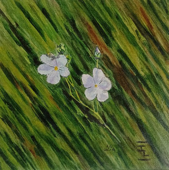 flowers