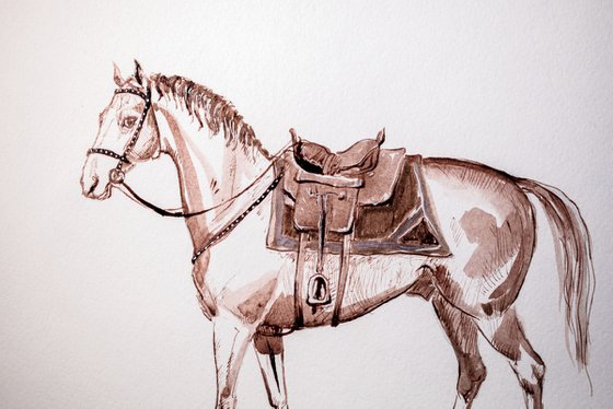 "A Cossack horse"