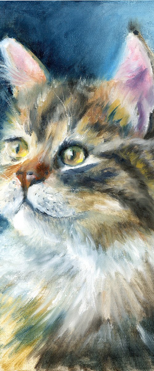 Majestic Longhair Cat by Olga Tchefranov (Shefranov)