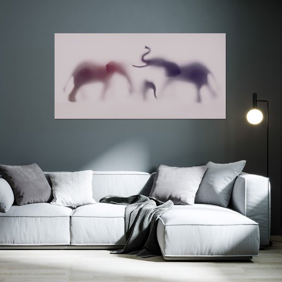 WILD LENS - ELEPHANT XVII