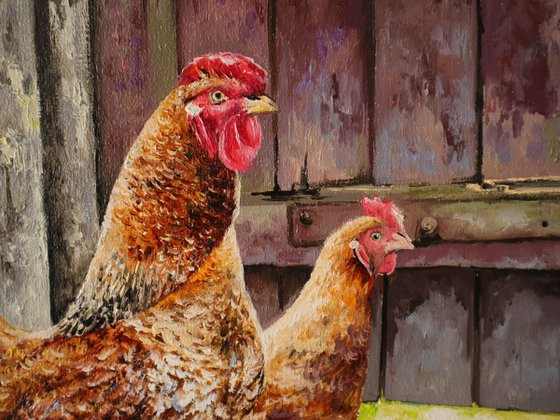 Country Chickens