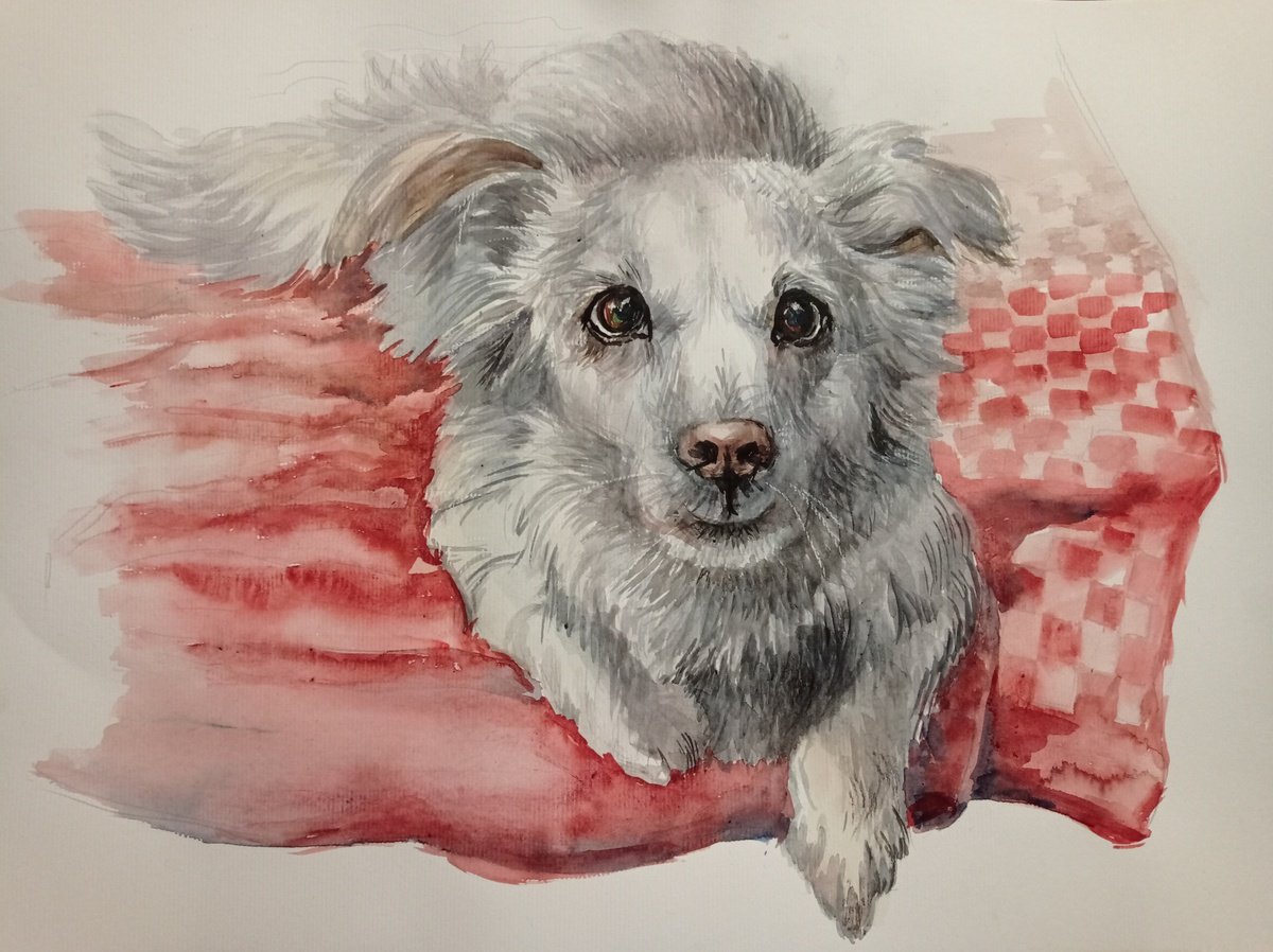 Graphic Watercolour , Bagel By Liubov Ponomarova, 16 X 12, Artwork For Sale On Artfinder