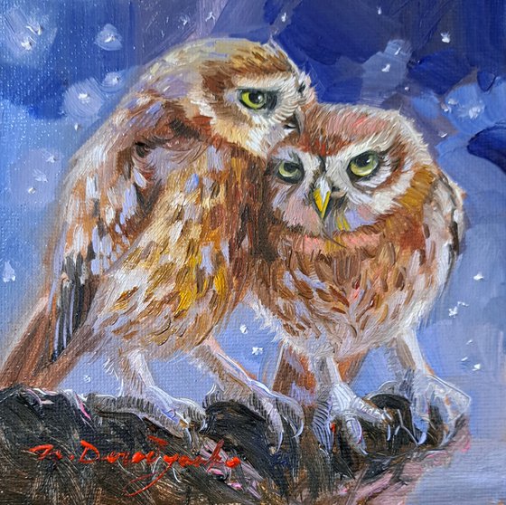 Owl birds painting