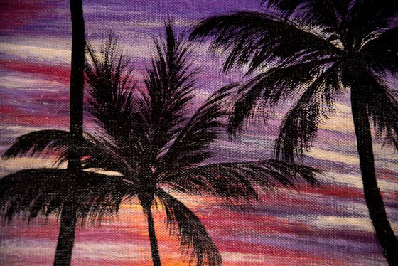 Palm sunset