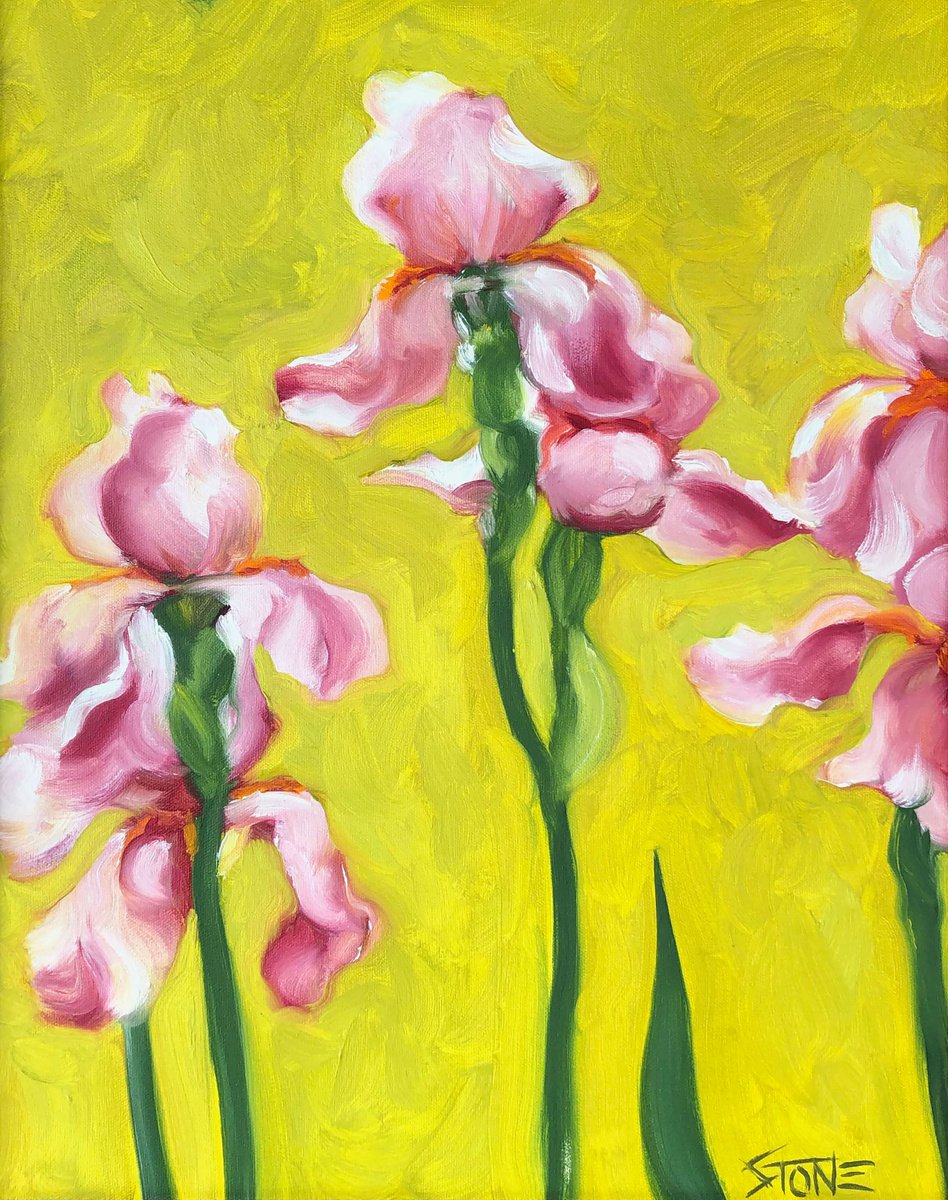 Pink Iris by Bill Stone