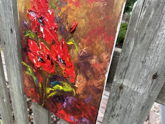 Red poppies dark background
