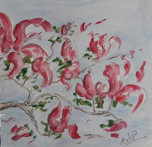 Spring Magnolias by Niki Purcell