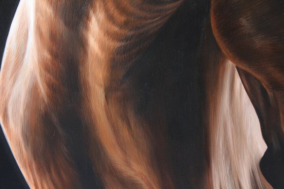 Equine light