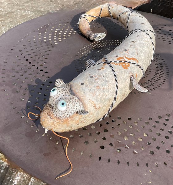 THE CATFISH OF GALATEA