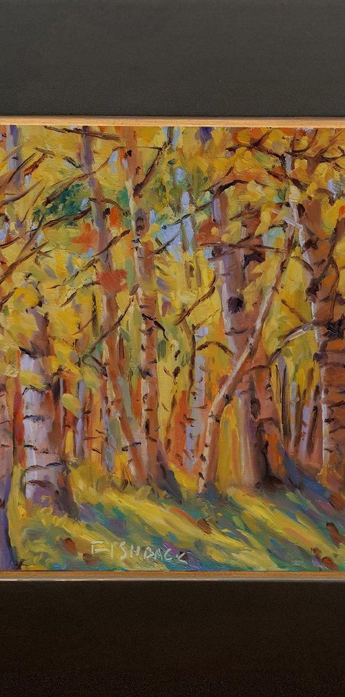 Colorful Aspen Tree Forest by Daniel Fishback