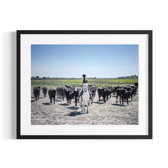CAMARGUE LIFE