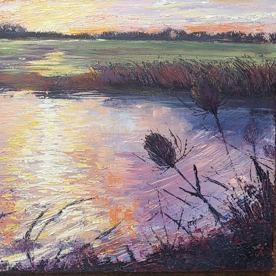 Evening Light