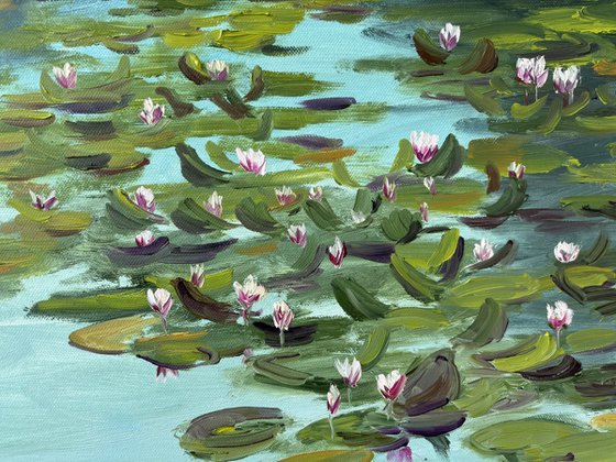 Water Lilies on the Quiet Pond