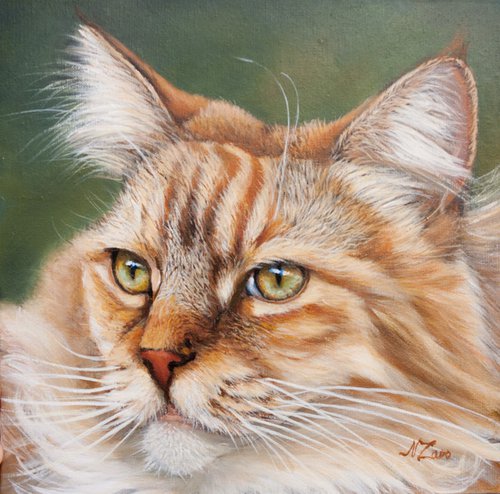 Cat portrait 3 by Norma Beatriz Zaro