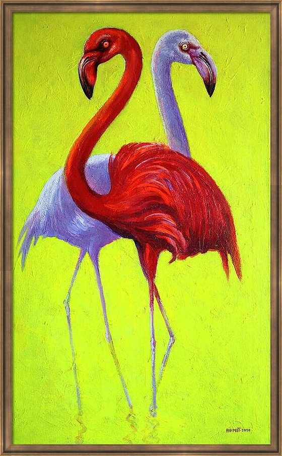 Flamingo 2