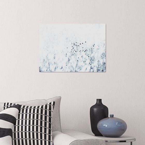 Syrian thistle | Limited Edition Fine Art Print 1 of 10 | 45 x 30 cm