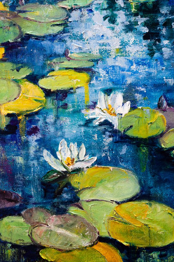 Water Lilies pond