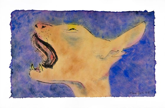Sphinx cat yawning