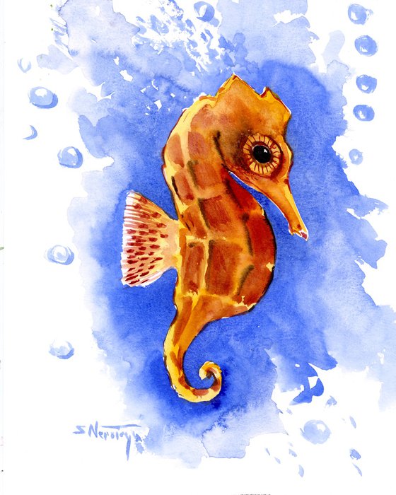 Little Seahorse