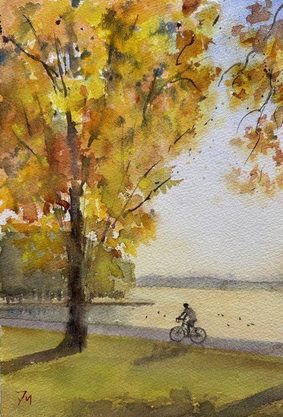 Cyclist at Lennox Gardens
