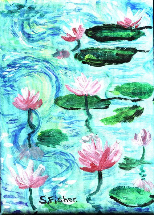 pink waterlilies all afloat by Sandra Fisher
