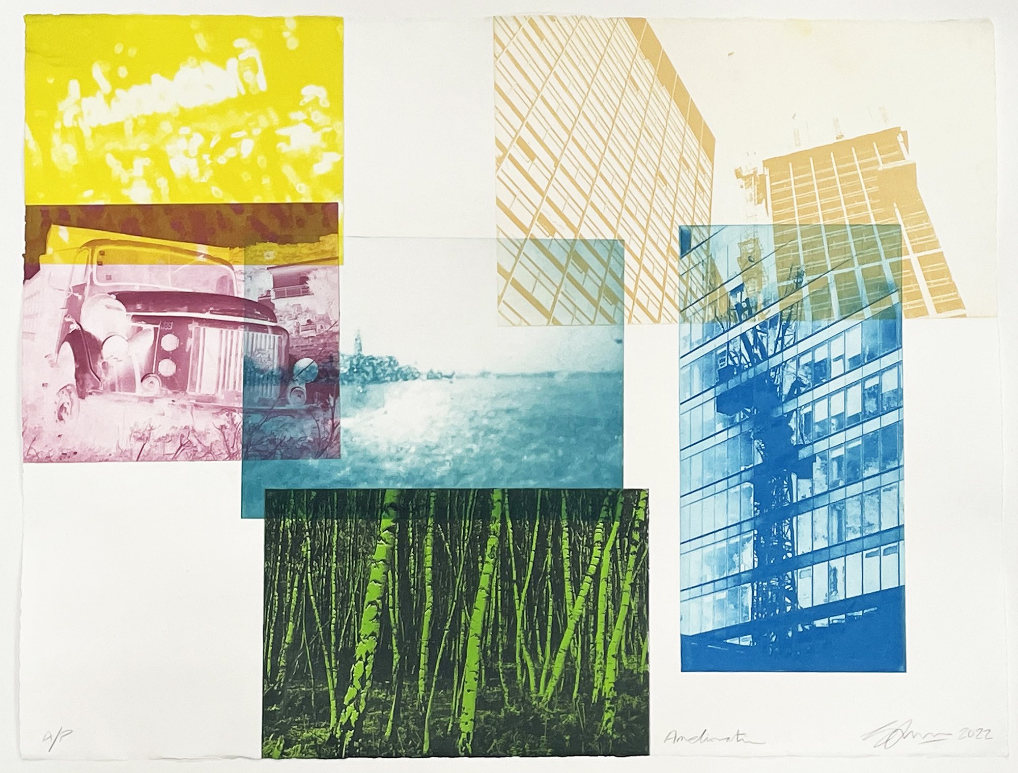 Etchings & Engravings , Amelioration Iii By Simon Lawson, 17 X 25, Artwork For Sale On Artfinder