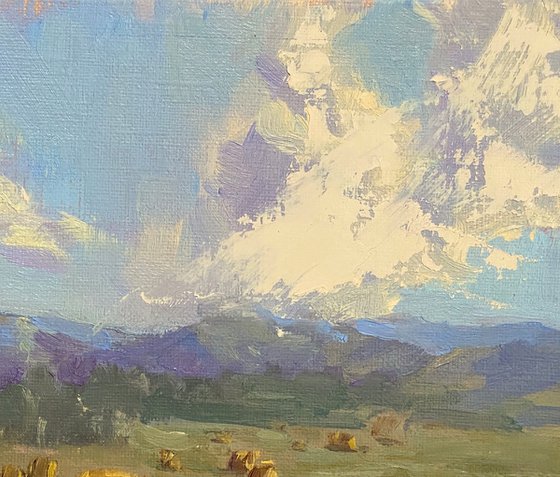 Hay Bales And Clouds Oil Sketch