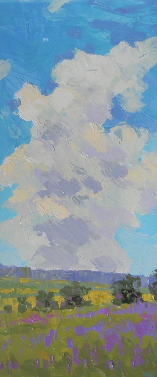 summer sky by Sergey  Kachin