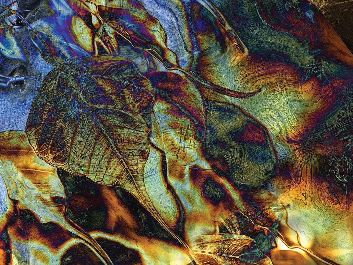 Abstract Botanical Print By Javier Diaz, 80 X 60, Autumn Leaves, Original Artwork