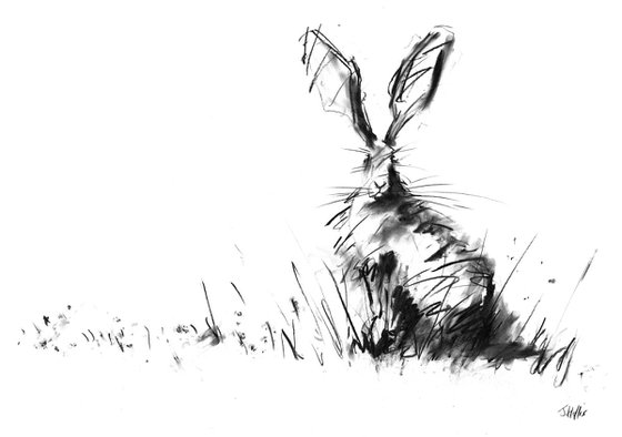 Hare Portrait