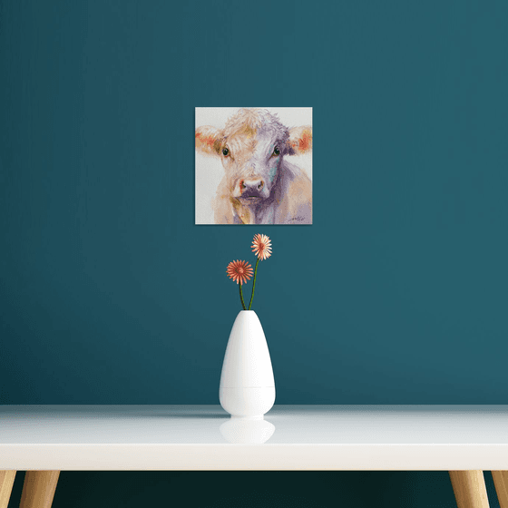 Lilac and Amber_cow