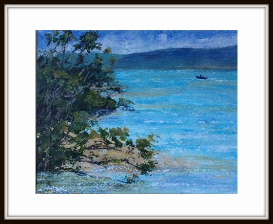 Lake illawarra sparkling Plein air