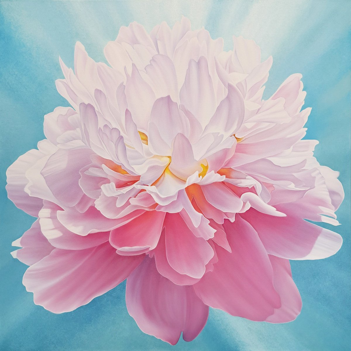 Photorealistic Oil Painting , Peony Glow By Anna Steshenko, 33 X 33, Artwork For Sale On Artfinder
