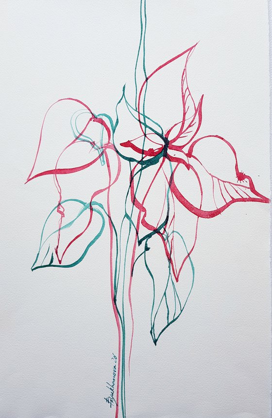Poinsettia. Christmas symbol