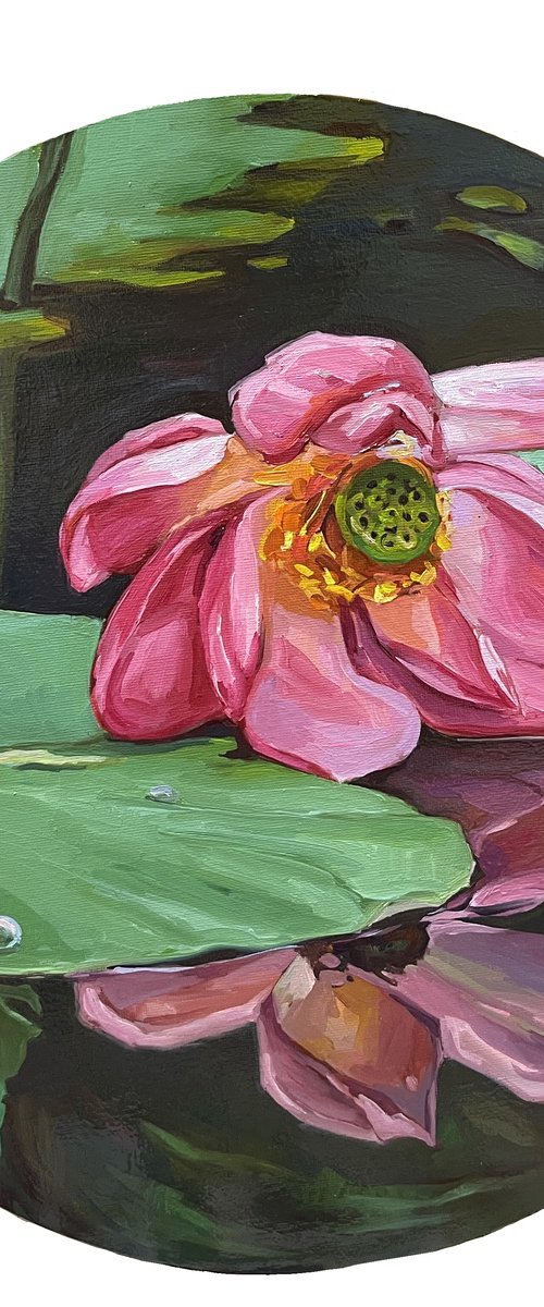 Pink lotus on still water by Guzel Min