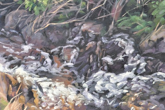 Brittany, coastal stream