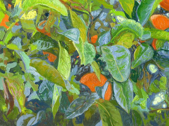 Oranges
