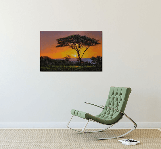 " Africa - Acacia tree " Special Price !!!