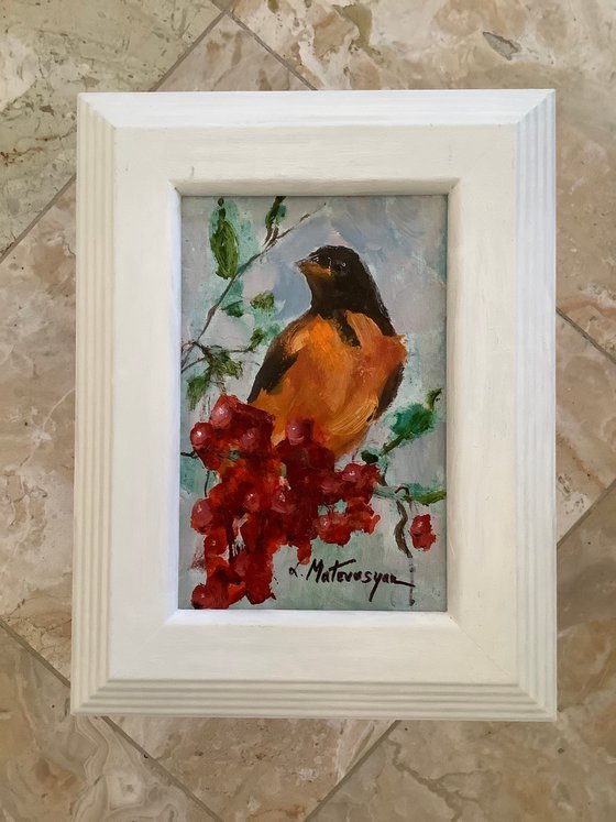 Oriole