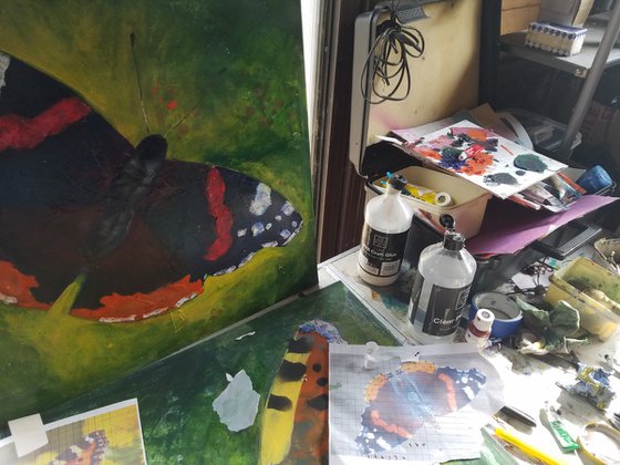 Red Admiral Butterfly