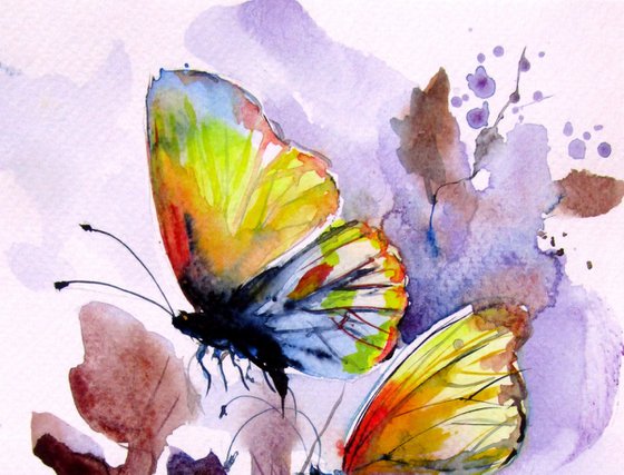 Little butterfly collection