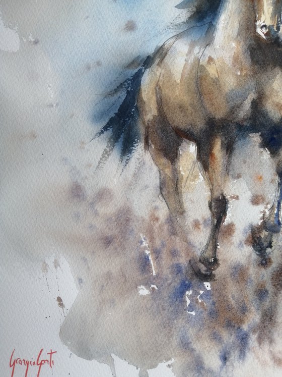 horses 20