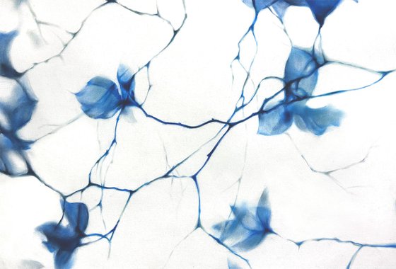 Fragile Blue Magnolia Cyanotype Style