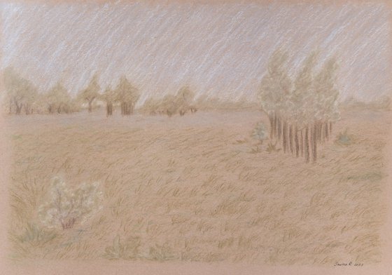 Earthy tones field landscape