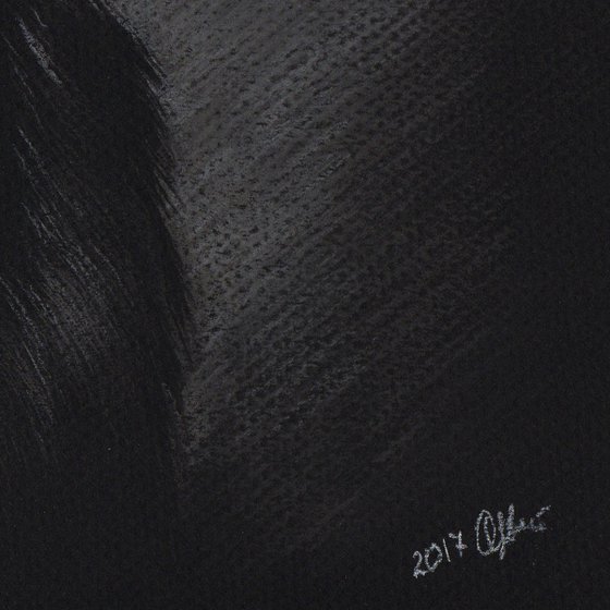 Pastel portrait of border collie on black