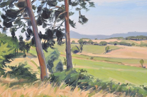 Summer light, Velay Mountains