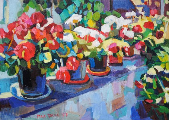 Red  and white flowers in summer yard /  33.7 x 24.4 cm
