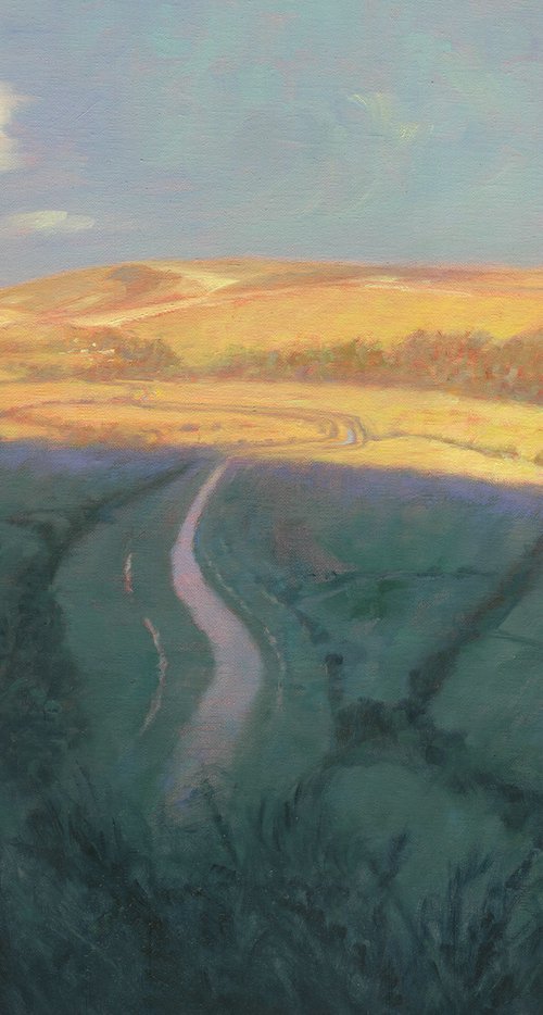 Cuckmere Shadow by Mark Harrison