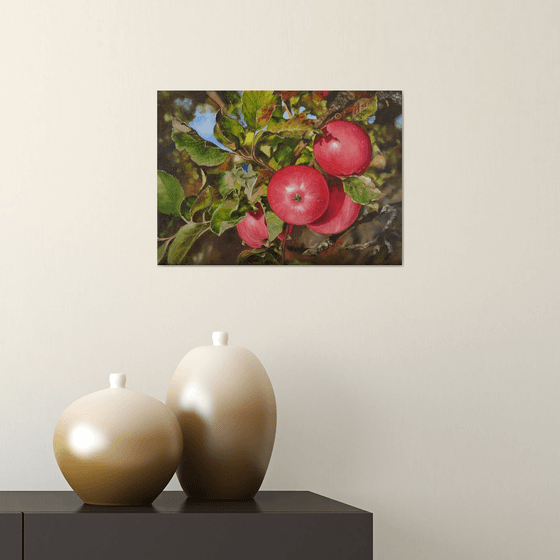 Red Apples on Tree Branch
