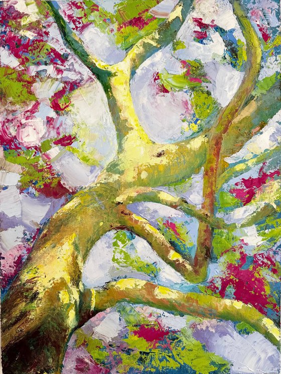 Looking Up
